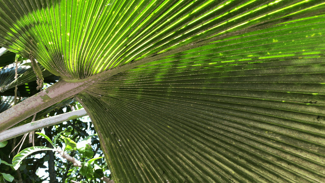 Cabo Verde Travel&nbsp;Video