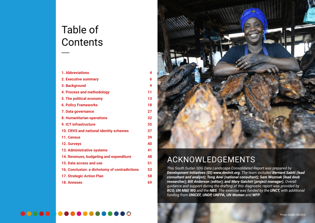 UNDP South Sudan Data Landscape&nbsp;Report